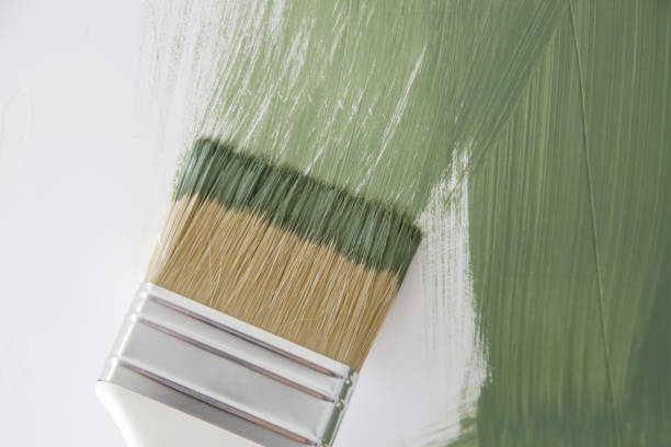 Best Water Damage & Mold Remediation  in Ackerman, MS
