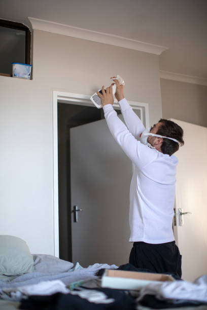 Best Real Estate Mold Inspection  in Ackerman, MS
