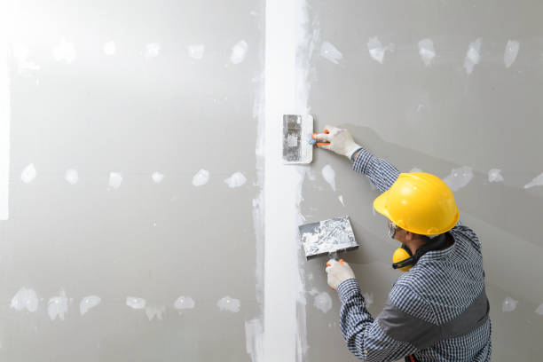 Best Attic Mold Removal  in Ackerman, MS
