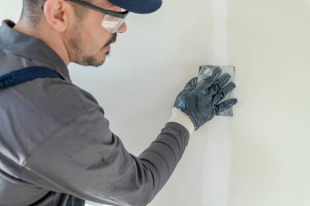 Best Dehumidification Services  in Ackerman, MS
