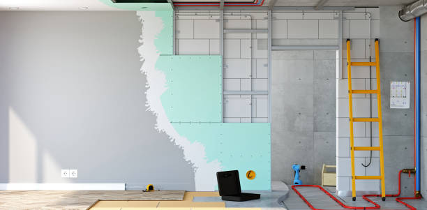 Best Asbestos and Lead Testing During Mold Inspection  in Ackerman, MS
