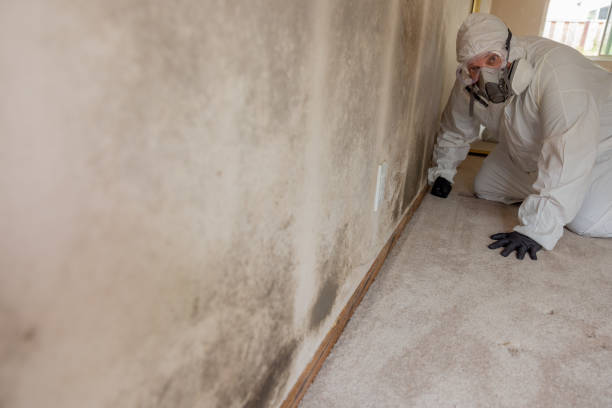 Best Post-Remediation Verification Testing  in Ackerman, MS