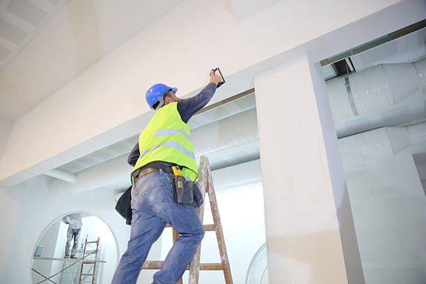Best Basement Mold Removal  in Ackerman, MS