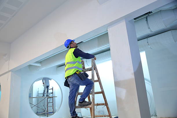 Best Real Estate Mold Inspection  in Ackerman, MS