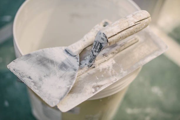 Best Biohazard Mold Removal  in Ackerman, MS