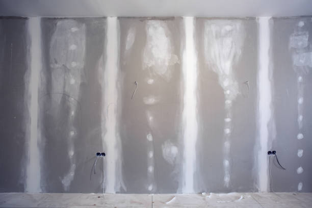 Mold Remediation for Rental Properties in Ackerman, MS